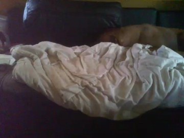 likemy_dick  06-09-2021 Recorded Video XXX